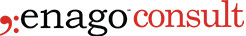 consult logo 